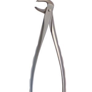Dental Extraction Forceps
